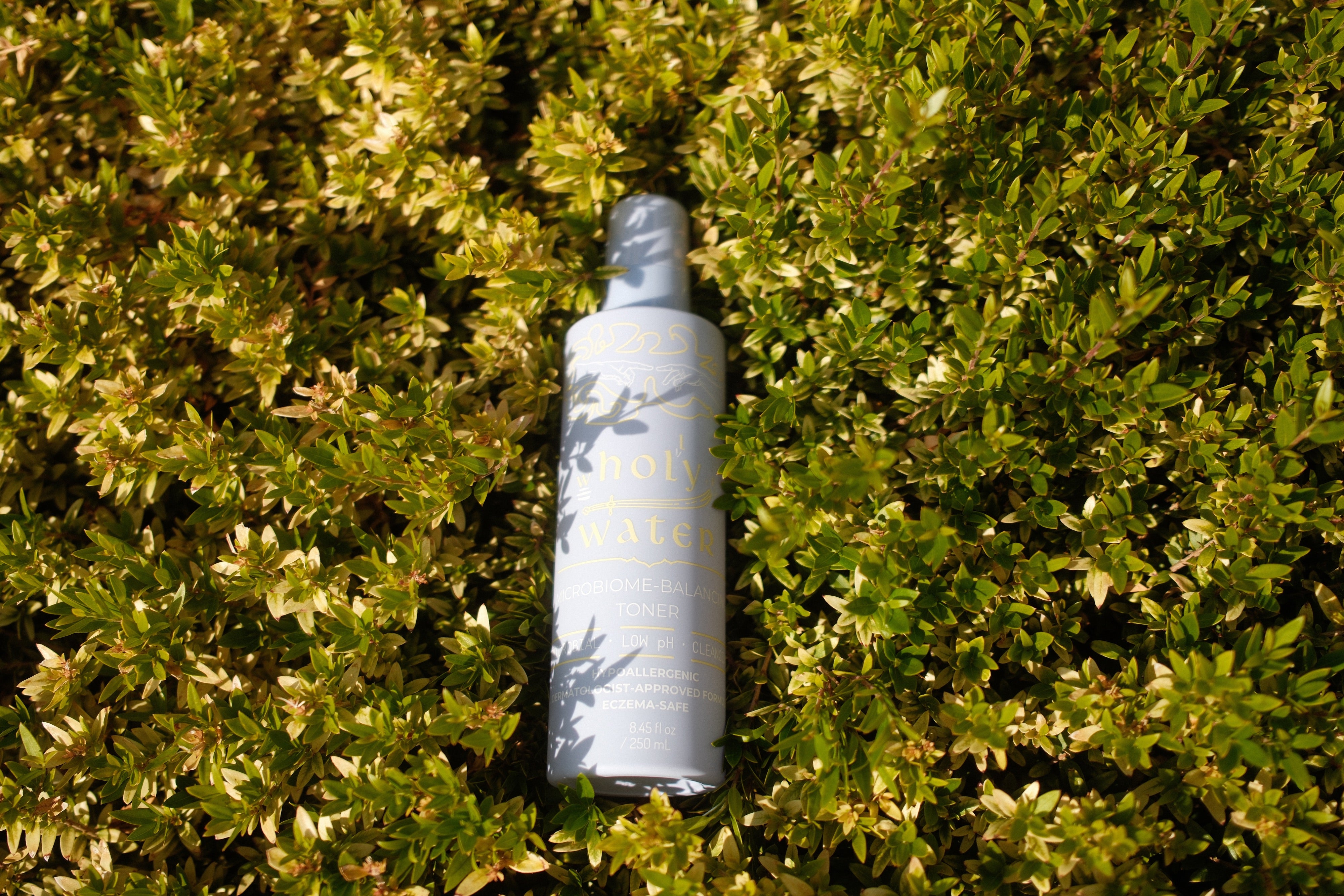 wholly water